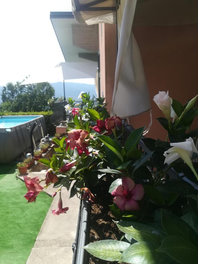 La Fontanella Apartment Polverara 外观 照片